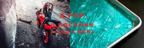 крисы Вяземский