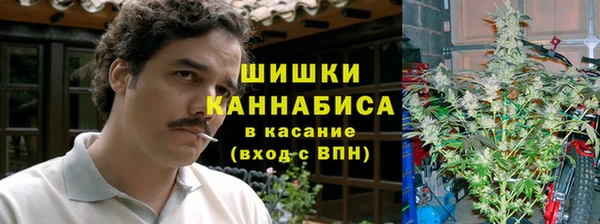 крисы Вяземский