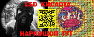 ГАЛЛЮЦИНОГЕННЫЕ ГРИБЫ Берёзовский