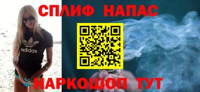 Альфа ПВП Бийск