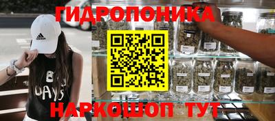 ГАЛЛЮЦИНОГЕННЫЕ ГРИБЫ Берёзовский