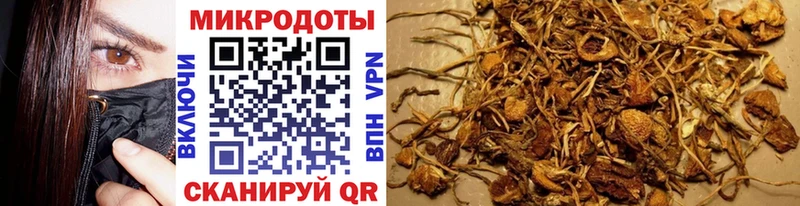 Псилоцибиновые грибы мицелий  Грозный 