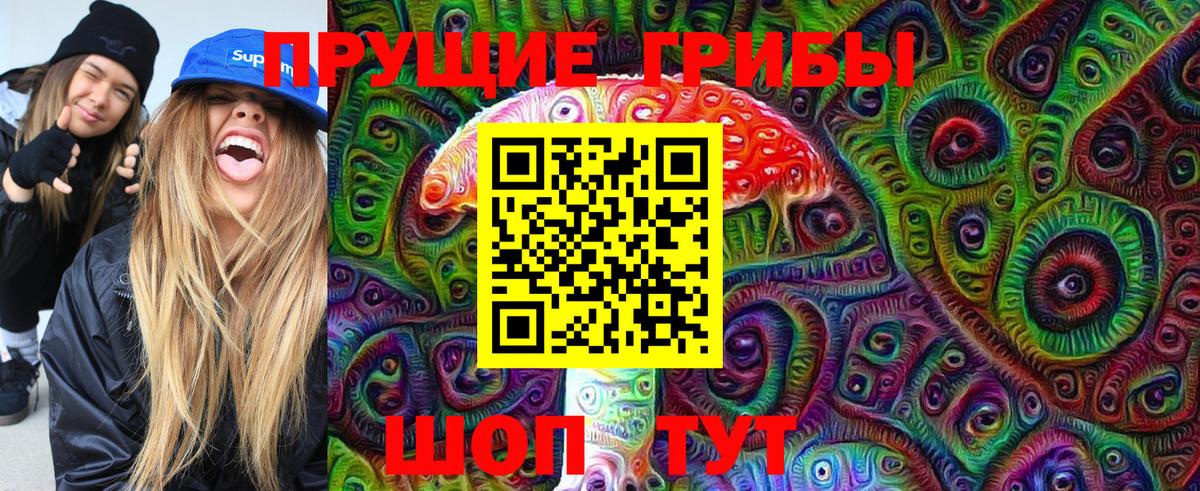 Псилоцибиновые грибы GOLDEN TEACHER Грозный