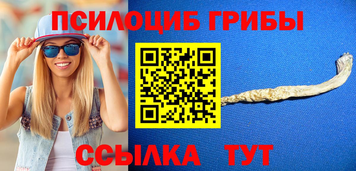 Грозный  Галлюциногенные грибы Magic Shrooms  Вход с VPN 