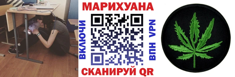 Каннабис индика Грозный